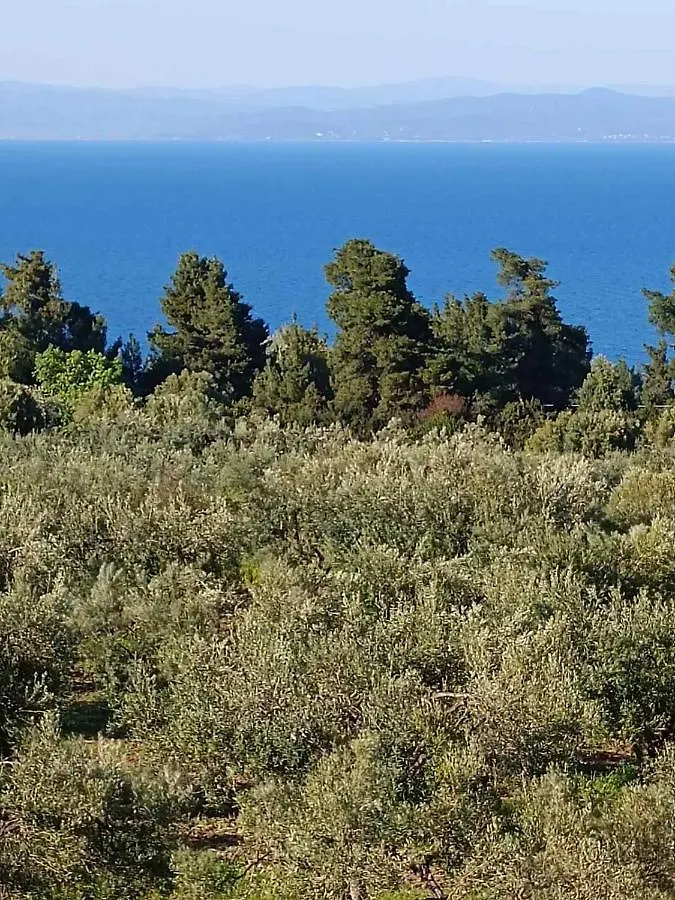 Halkidiki Sea View Apartment Κρυοπηγή